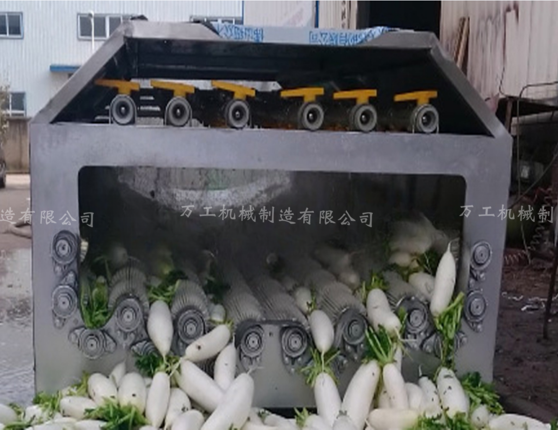 專業生產滾筒毛刷清洗機 水果蔬菜清洗機